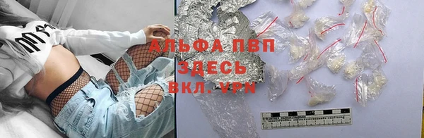 Альфа ПВП Пересвет