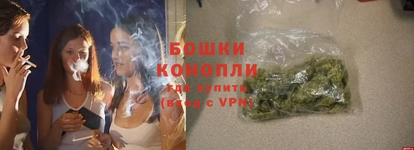Альфа ПВП Пересвет