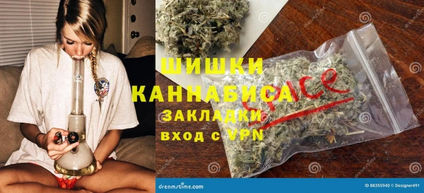 Альфа ПВП Пересвет