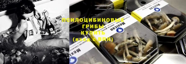 Альфа ПВП Пересвет