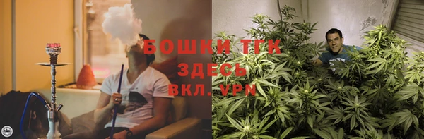 Альфа ПВП Пересвет